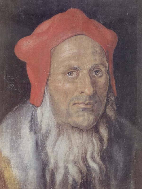 Albrecht Durer Bearded Man in a Red cap oil painting picture